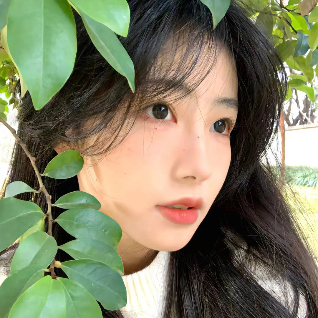 政治之爱